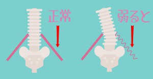 腰痛について羽田野代表に聞いてみました。