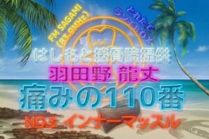 羽田野 龍丈の痛みの110番 第五回 インナーマッスル