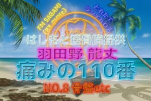 羽田野 龍丈の痛みの110番 第八回 骨盤について続き