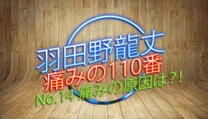 羽田野 龍丈の痛みの110番 第14回