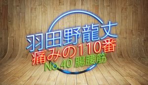 羽田野 龍丈の痛みの110番 第40回 腸腰筋について
