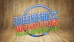 羽田野 龍丈の痛みの110番 第48回 接骨院とは？