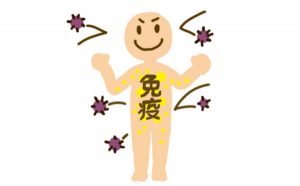 免疫力とは～そもそも免疫とは何ぞや？～