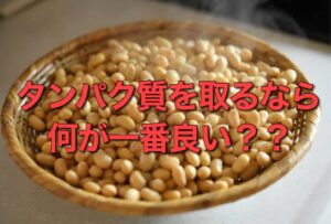 タンパク質について〜動物性と植物性の違い〜
