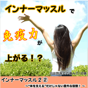インナーマッスル２② 〜“体を支える”だけじゃない意外な役割！〜