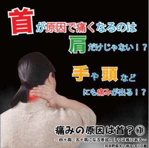 痛みの原因は首？① ～四十肩・五十肩になる原因の1つは首にある～