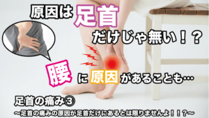 足首の痛み③ 〜足首の痛みの原因が足首だけにあるとは限りませんよ！！？〜