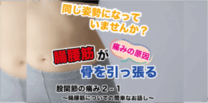 股関節の痛み２−１ 〜腸腰筋についての簡単なお話し〜