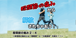 股関節の痛み２−４ 〜股関節の痛みには“腸腰筋”と“大腿直筋”を疑え！！〜